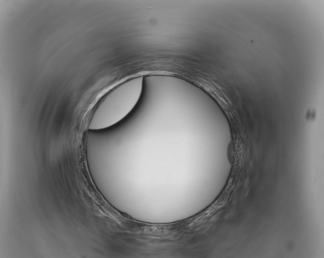 X0000090880338200707271021