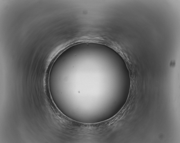 X0000090880340200707271021