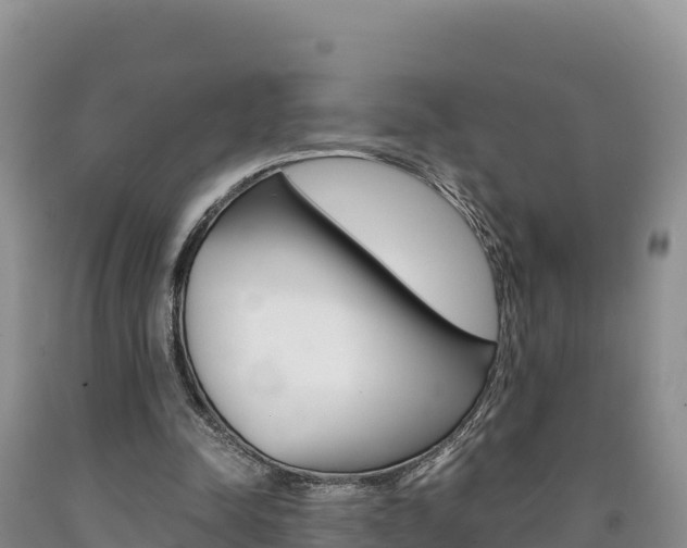 X0000090880342200707271022