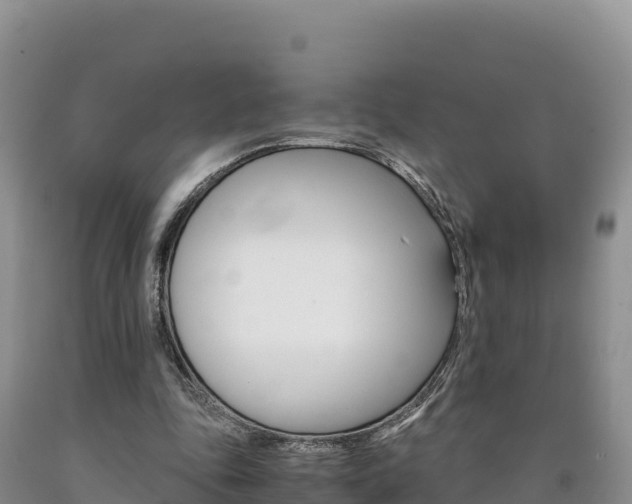 X0000090880343200707271022