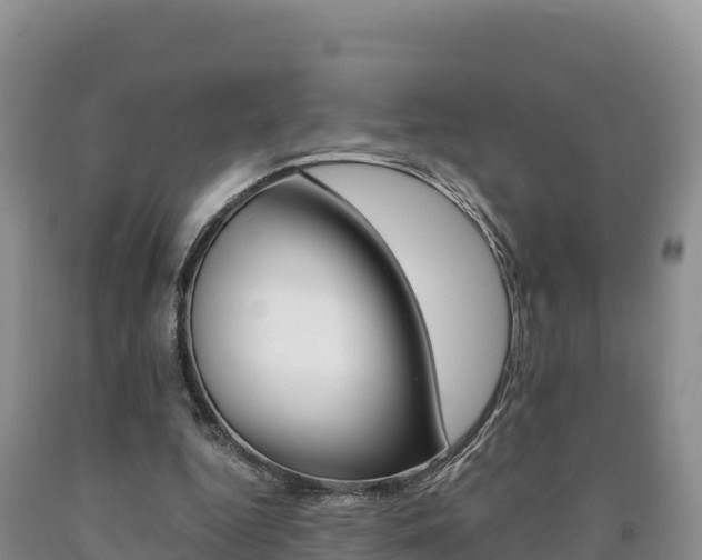 X0000090880344200707271022