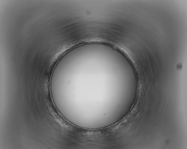 X0000090880345200707271022