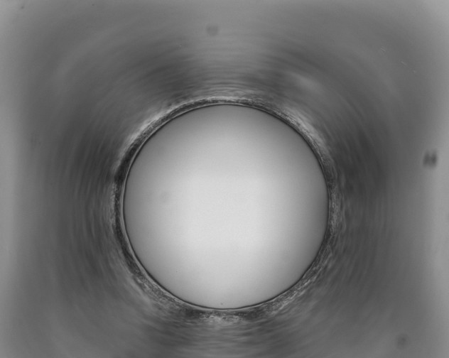 X0000090880346200707271022