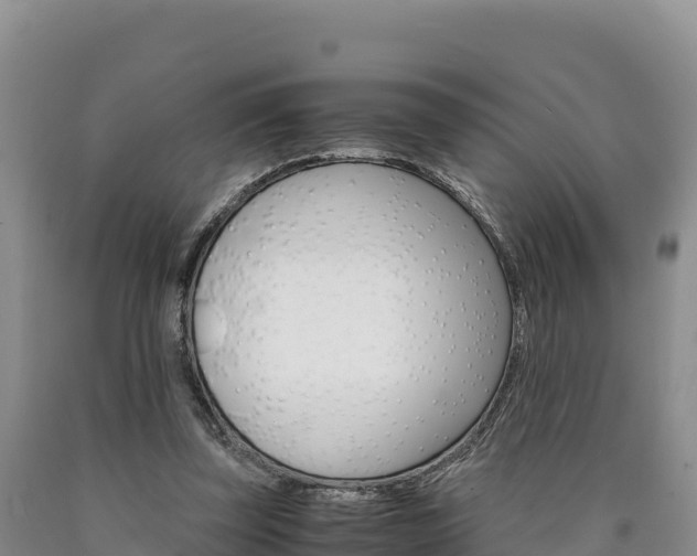 X0000090880347200707271022