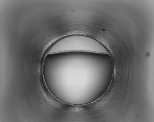 X0000090880348200707271022