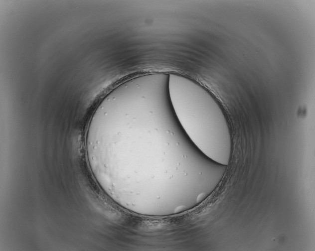 X0000090880351200707271022