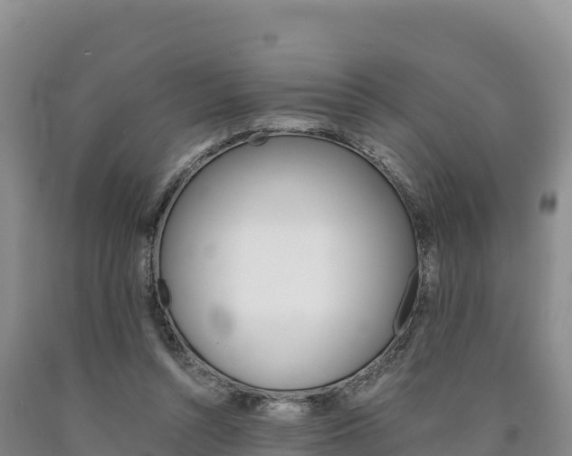 X0000090880352200707271022