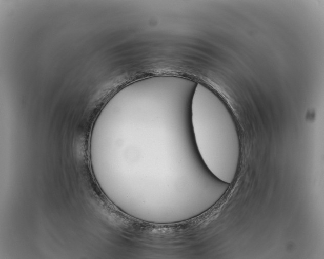 X0000090880353200707271022