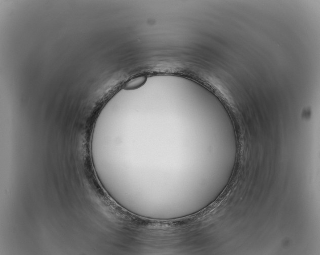 X0000090880354200707271022