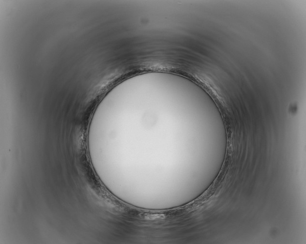 X0000090880355200707271022