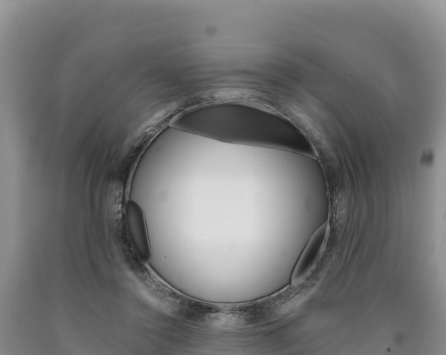 X0000090880356200707271022