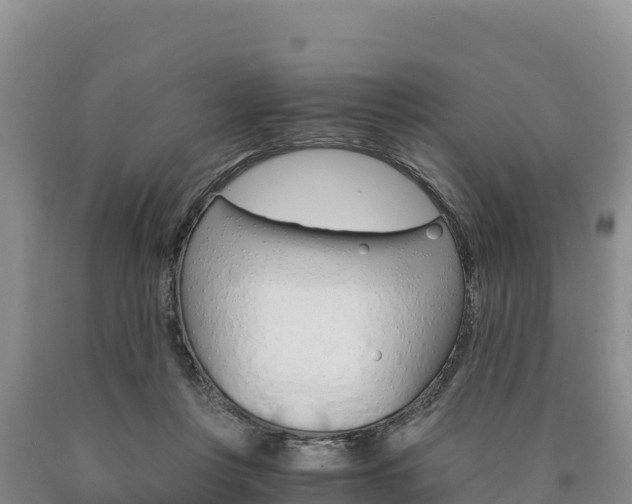 X0000090880359200707271022