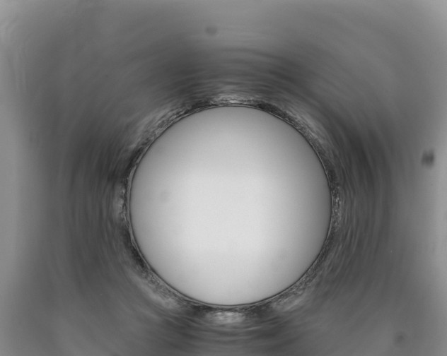 X0000090880361200707271022