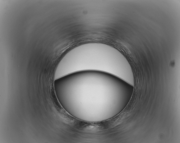 X0000090880364200707271022