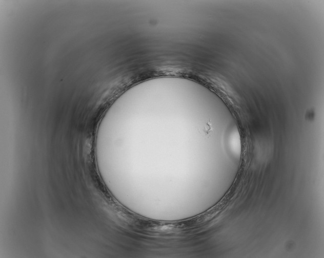 X0000090880365200707271022
