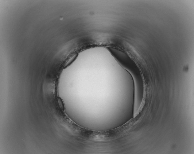 X0000090880368200707271022
