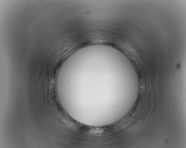 X0000090880369200707271022