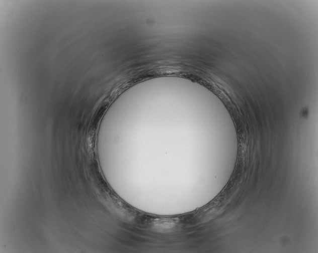X0000090880373200707271022