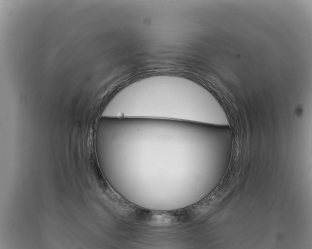 X0000090880376200707271022