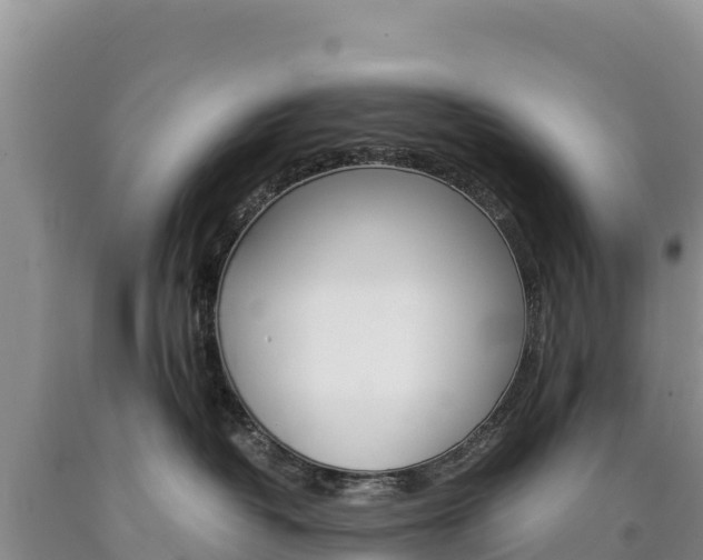 X0000090880382200707271022