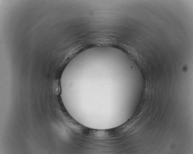 X0000090880383200707271022