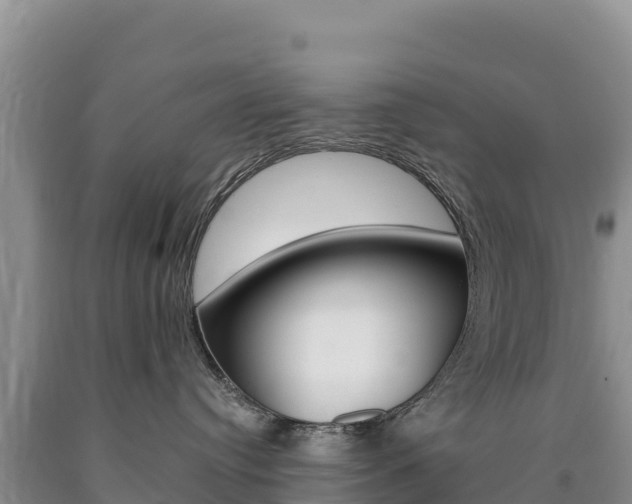 X0000090880384200707271022