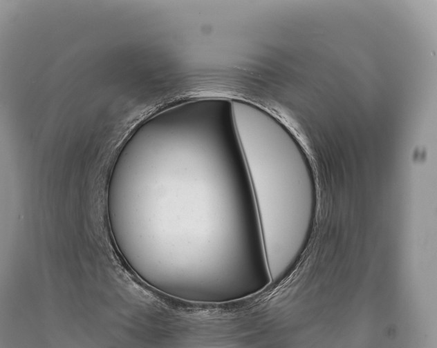 X0000090880385200707271021