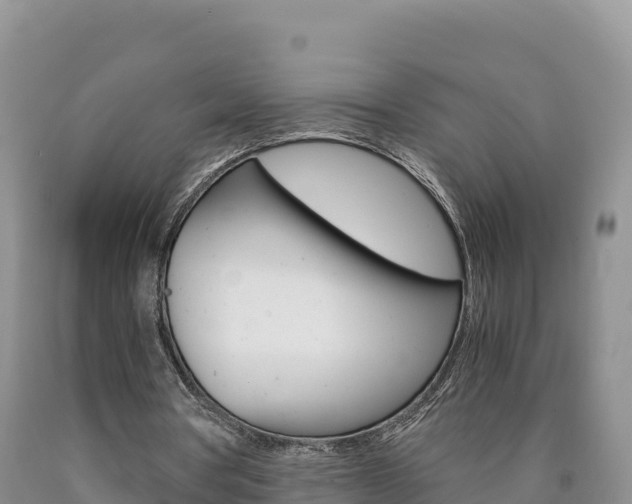 X0000090880386200707271021