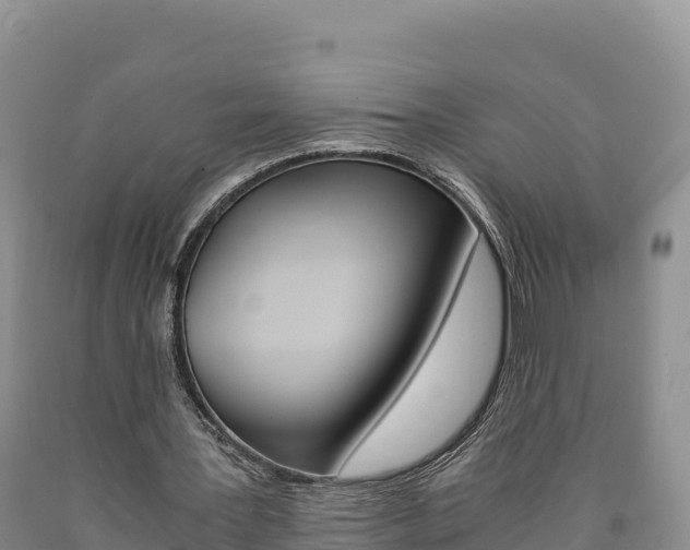 X0000090880387200707271021
