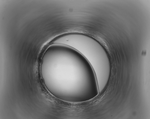 X0000090880388200707271021
