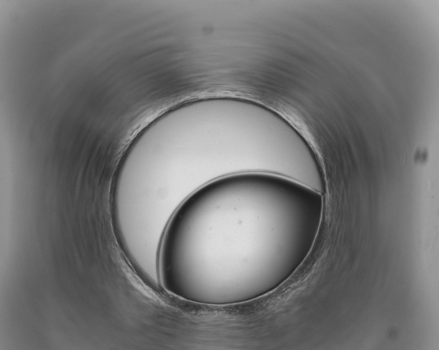 X0000090880389200707271021