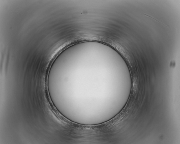 X0000090880390200707271021