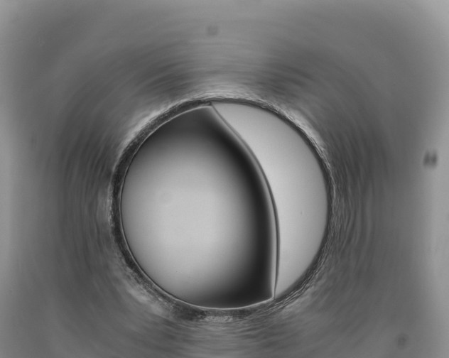 X0000090880391200707271021
