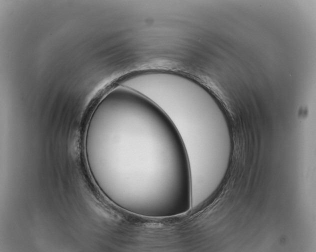 X0000090880392200707271021