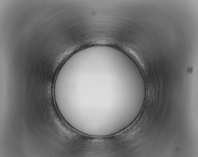 X0000090880394200707271021