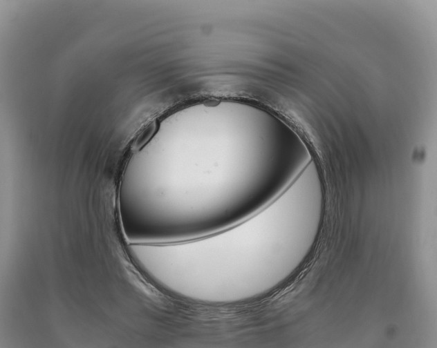 X0000090880397200707271021