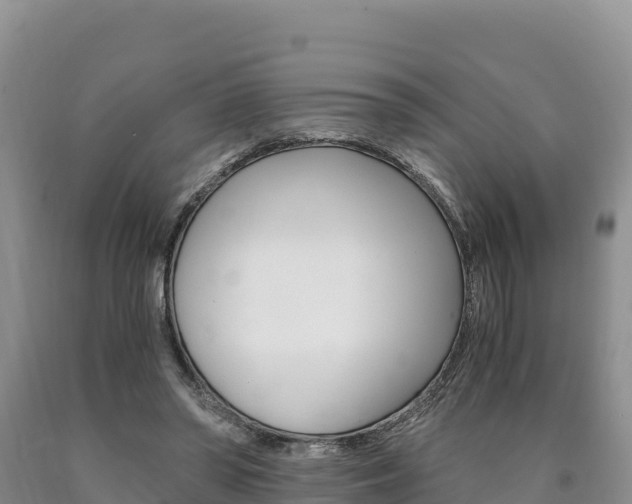 X0000090880398200707271021