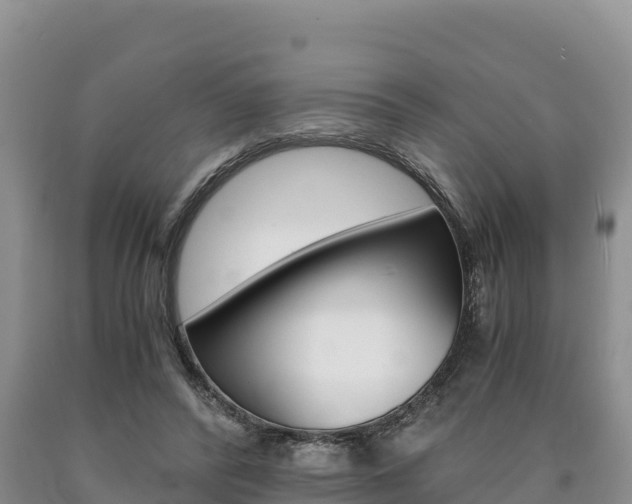 X0000090880400200707271021