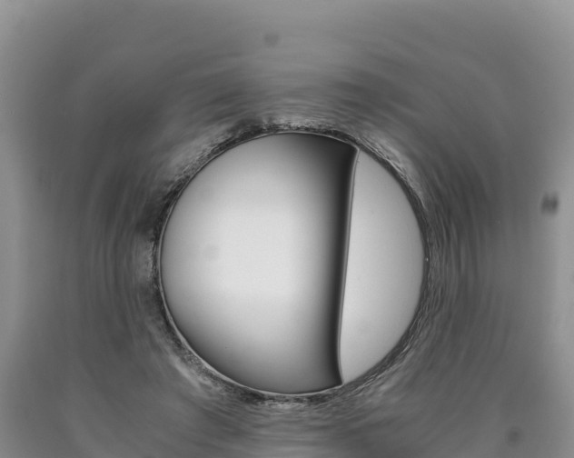 X0000090880401200707271021