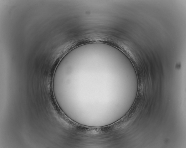 X0000090880402200707271021