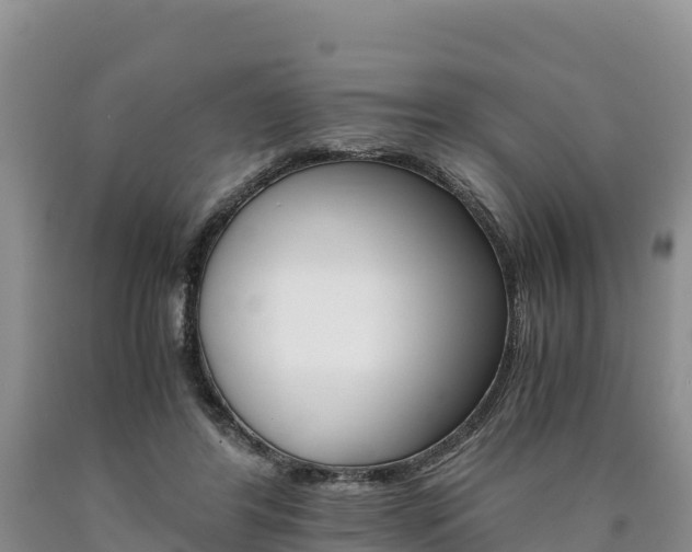 X0000090880404200707271021