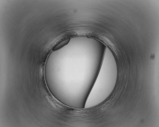 X0000090880405200707271021