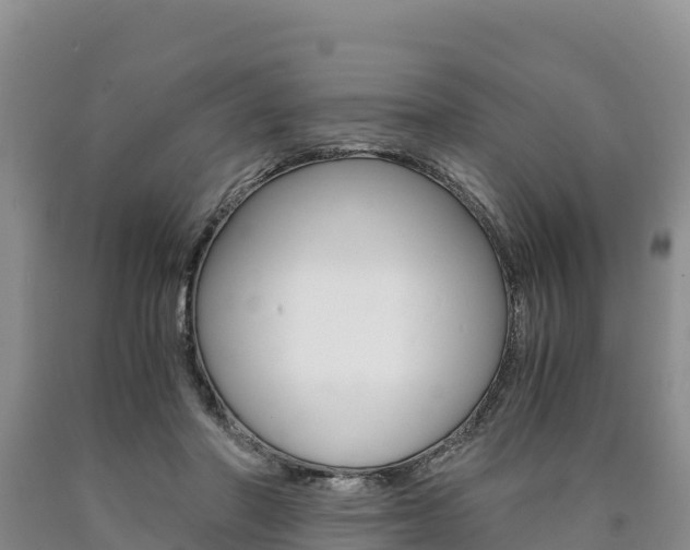 X0000090880406200707271021