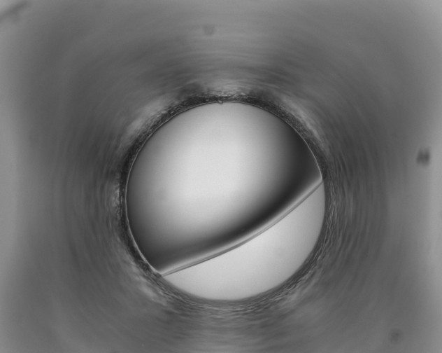 X0000090880407200707271021