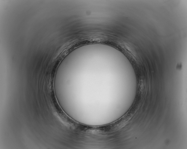 X0000090880408200707271021