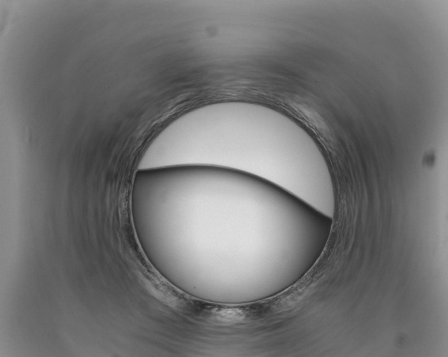 X0000090880409200707271021