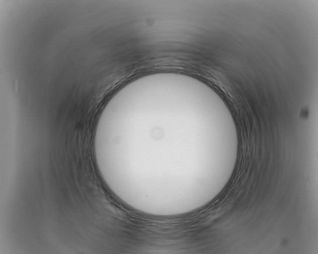 X0000090880411200707271021