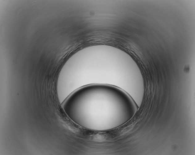 X0000090880412200707271021