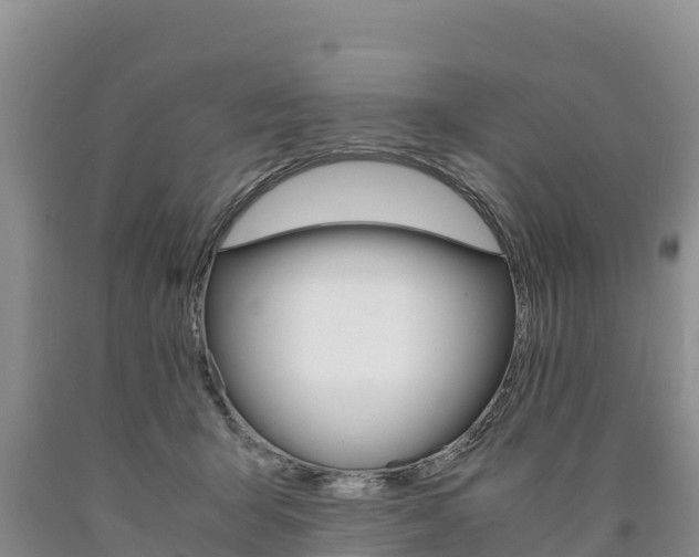 X0000090880415200707271021