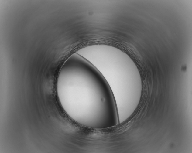 X0000090880416200707271021